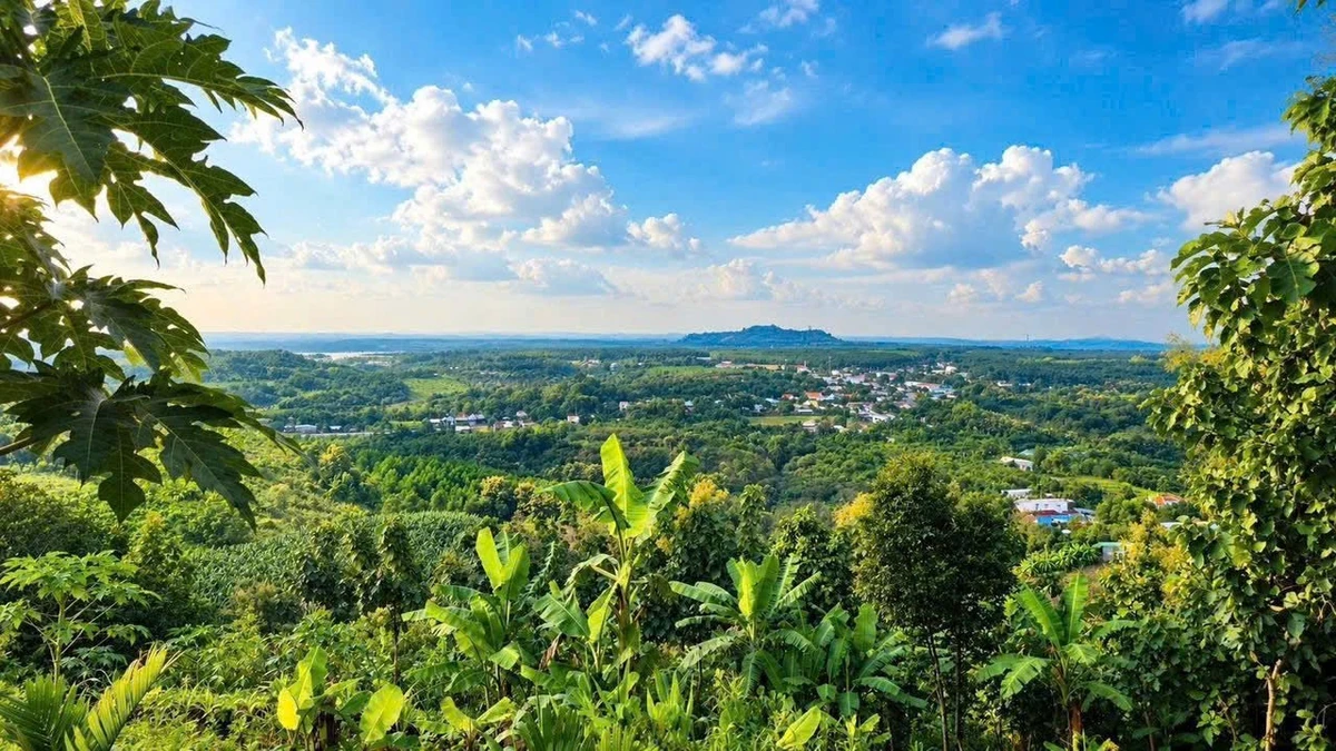 Bán đất vườn 1.200m² view hồ Trị An, Định Quán - Ảnh thu nhỏ 5