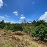 Bán đất 4500m² gần cầu Bà Dần, sân bay Bình Minh, giá 4.5 tỷ - Ảnh thu nhỏ 2