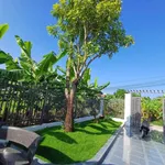 Bán nhà vườn Bình Lộc 373.7m² 2PN giá 1tỷ850tr - Ảnh thu nhỏ 5