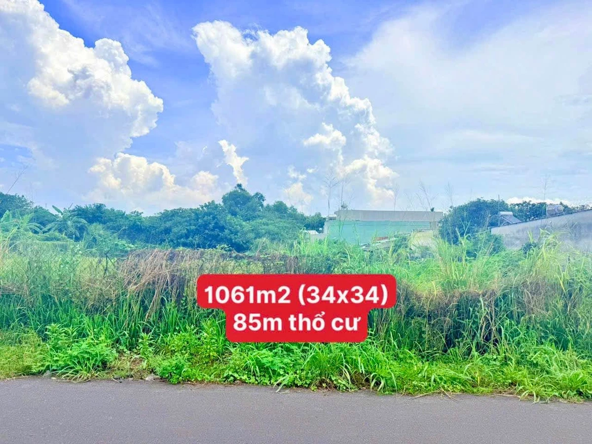 Bán đất Xã Hồ Tràm 1061m2, gần Phước Bửu 6,5 tỷ - Ảnh thu nhỏ 4