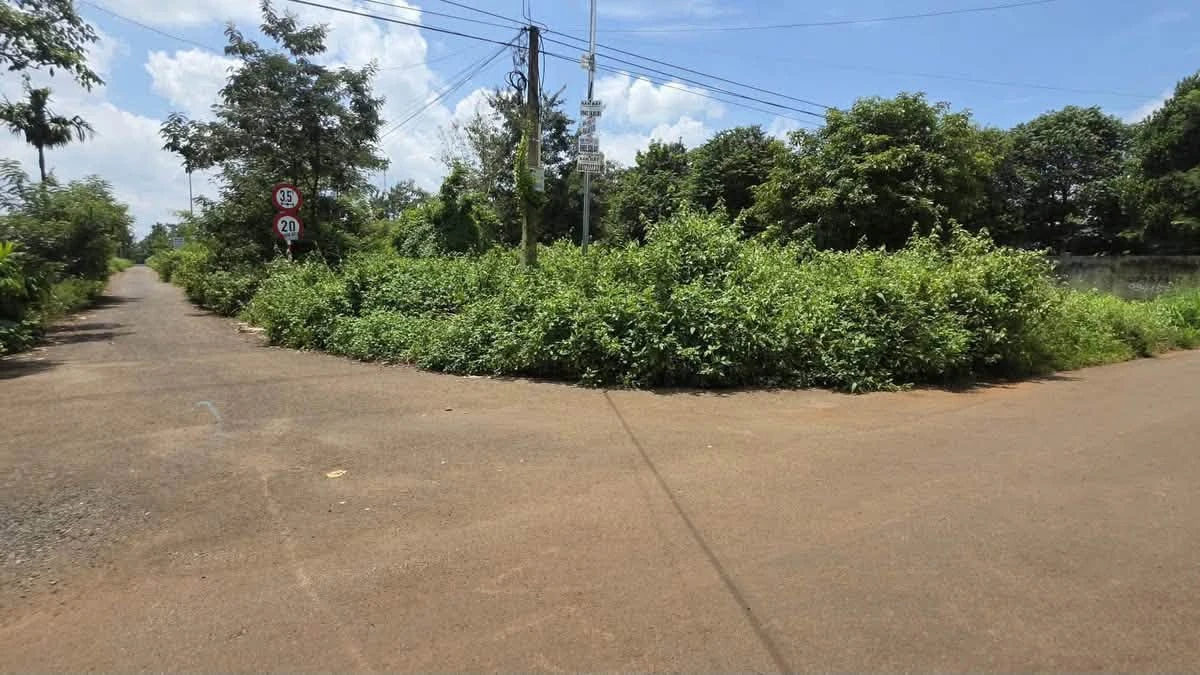 Bán đất mặt tiền hẻm 171 Nguyễn Thái Bình, Buôn Ma Thuột 212,5m² - Ảnh thu nhỏ 3