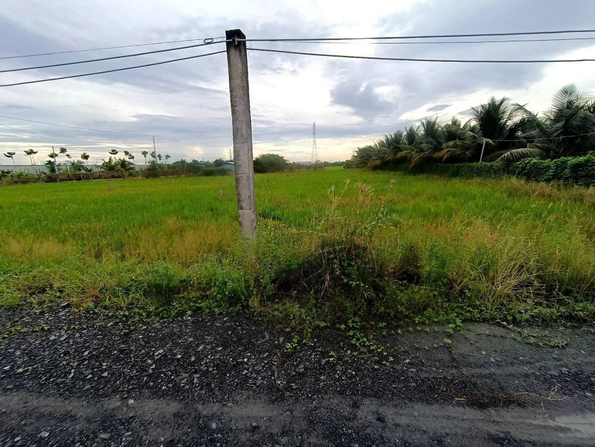 Bán đất 1000m² xây nhà vườn tại Tây Ninh - Ảnh thu nhỏ 3
