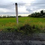 Bán đất 1000m² xây nhà vườn tại Tây Ninh - Ảnh thu nhỏ 3