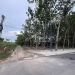 Bán đất 76m² giá 440 triệu gần KCN BECAMEX Bình Dương - Ảnh thu nhỏ 2