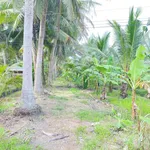 Bán đất vườn diện tích 2.635m2 - Ảnh thu nhỏ 3