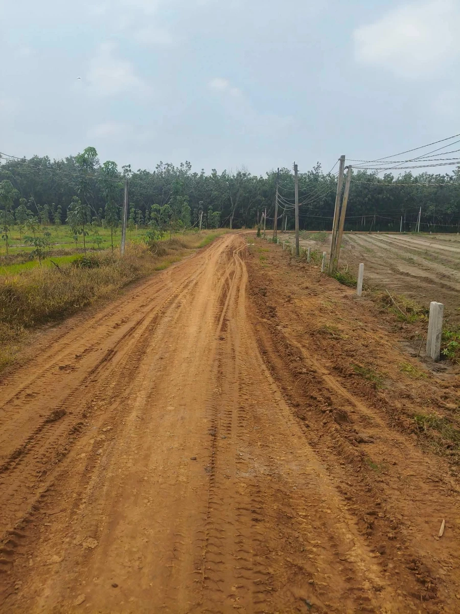 Bán đất nền 300m² Thạnh Bình Tây Ninh 129 triệu - Ảnh thu nhỏ 2
