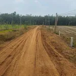 Bán đất nền 300m² Thạnh Bình Tây Ninh 129 triệu - Ảnh thu nhỏ 2