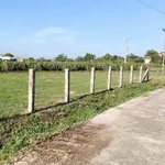 Bán đất vườn 732m² Hàm Hiệp, Bình Thuận 750 triệu - Ảnh thu nhỏ 1