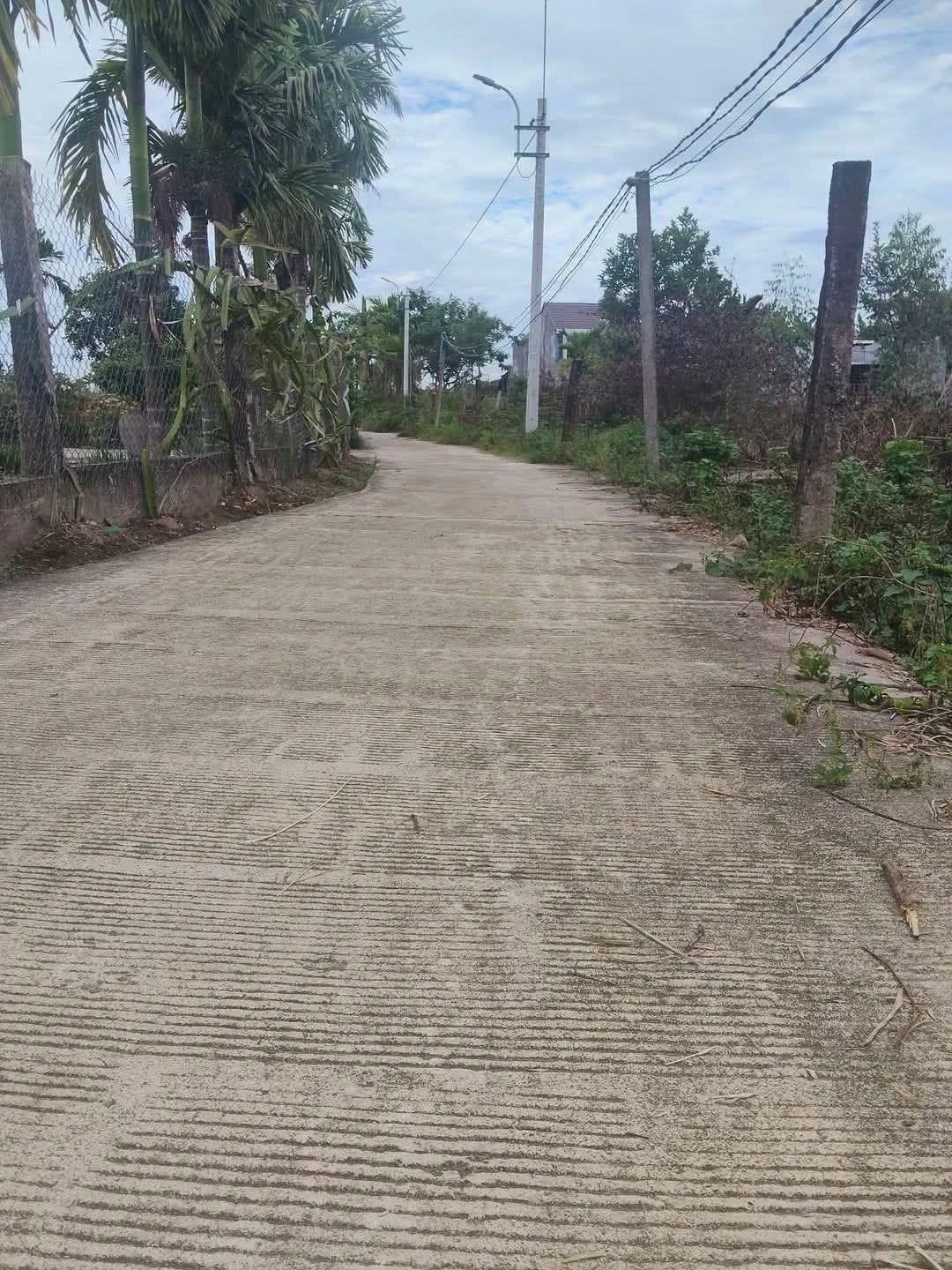 Bán đất Tịnh Ấn Tây 165m² Bình Chánh - Ảnh 1