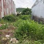 Bán đất Gia Nghĩa 250m² giá 1,3 tỷ - Ảnh thu nhỏ 1