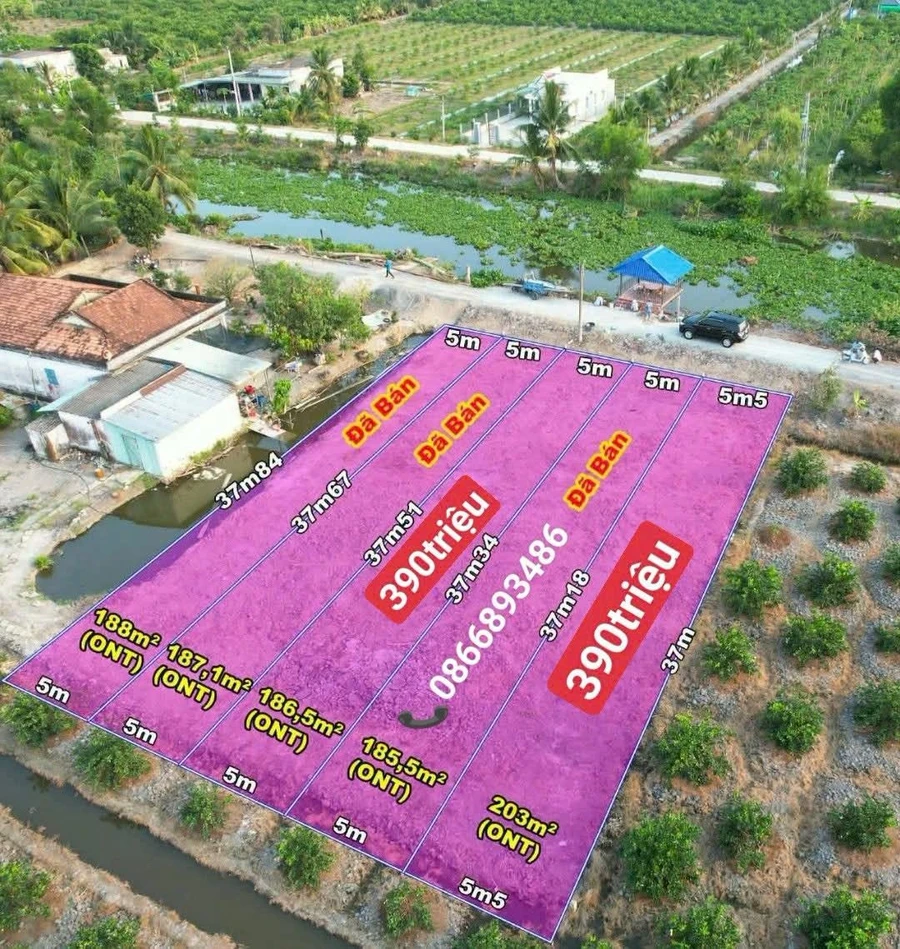 Bán đất thổ cư 186m² giá 390 triệu Bến Lức - Ảnh 1
