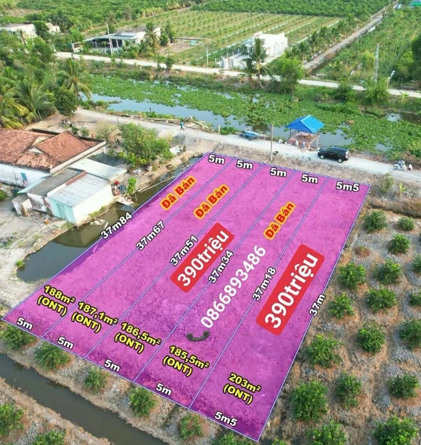 Bán đất thổ cư 186m² giá 390 triệu Bến Lức