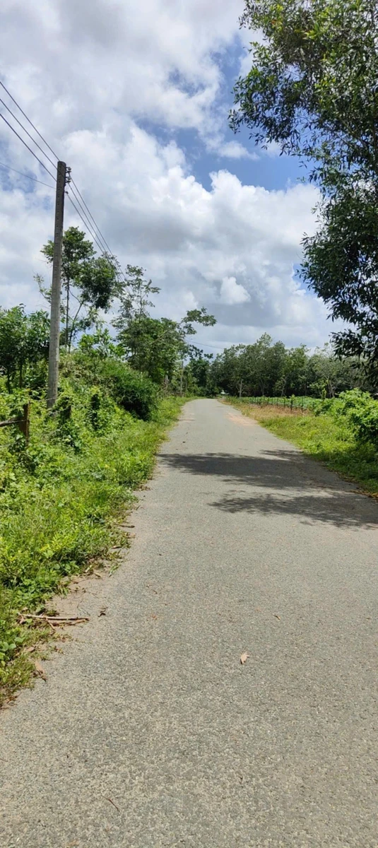 Bán đất 2ha Bích Chơn Thành gần QL14 giá 4,6 tỷ - Ảnh 1