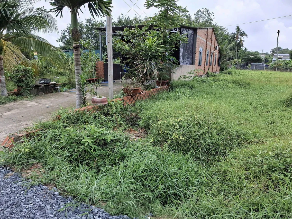 Bán đất 183,5m² Gò Dầu Tây Ninh 900 triệu - Ảnh thu nhỏ 4