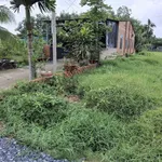 Bán đất 183,5m² Gò Dầu Tây Ninh 900 triệu - Ảnh thu nhỏ 4