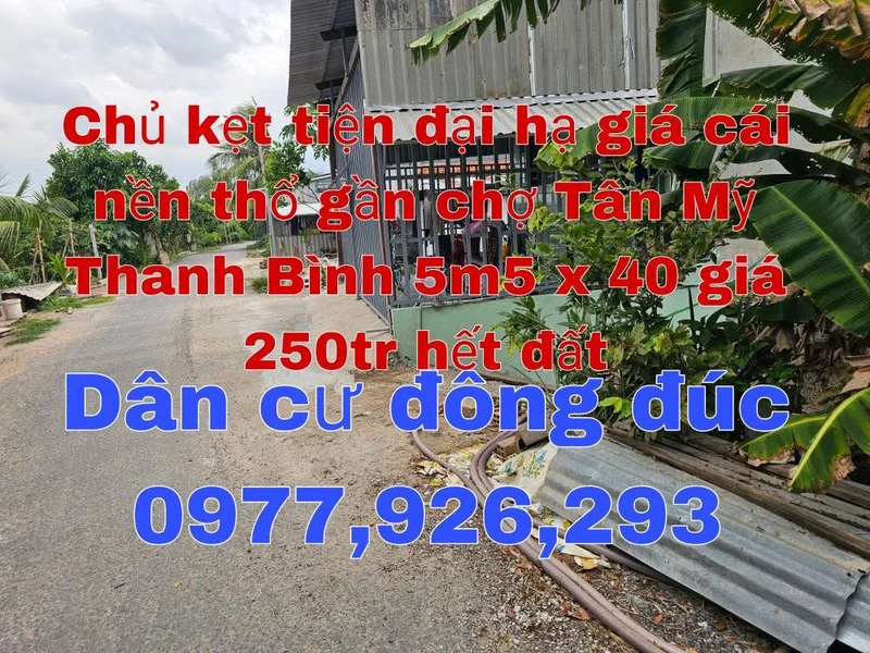 Bán đất nền thổ 100% mặt tiền 5.5x38m tại Thanh Bình, Đồng Tháp