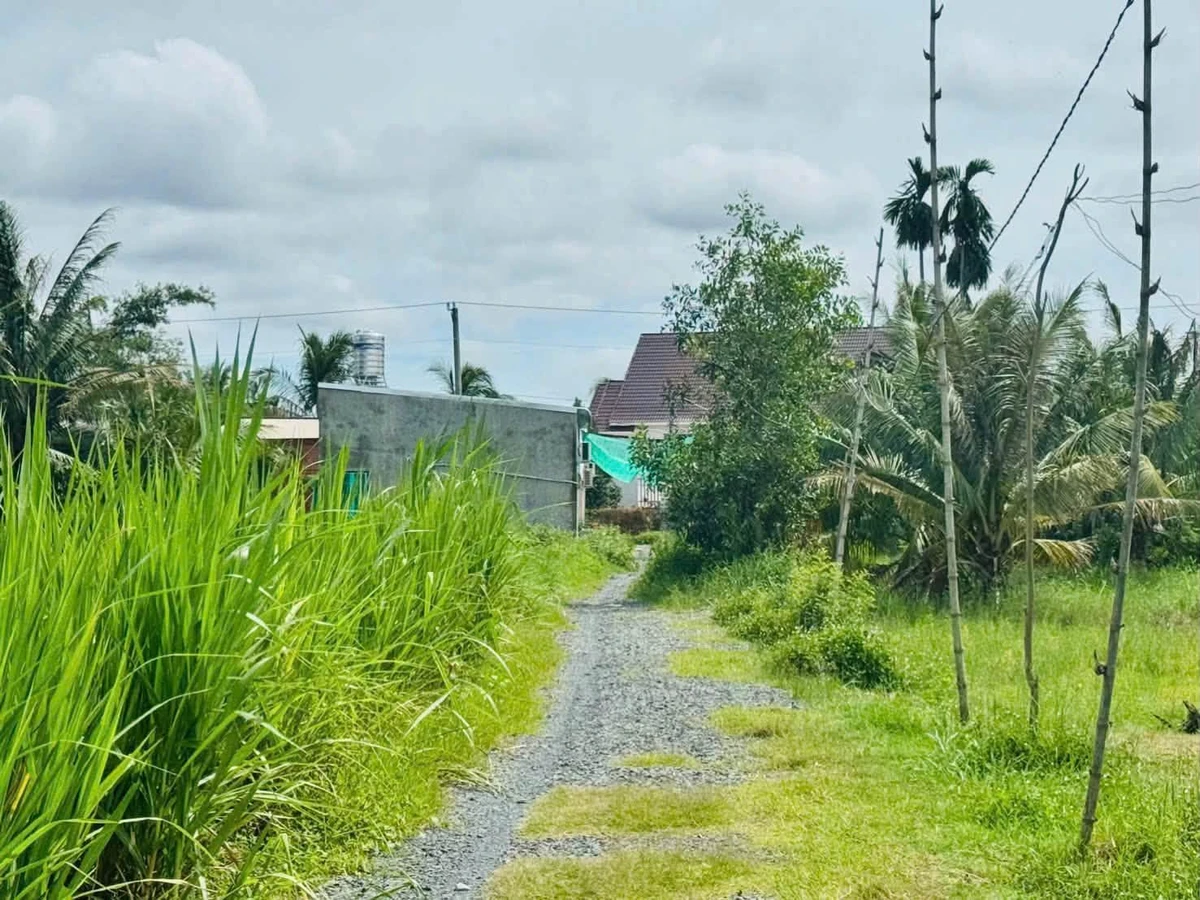 Bán đất hẻm Trường Đông, Long Hoa, Tây Ninh, 1000m² - Ảnh 1