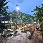Bán đất 2 mặt tiền Hòa Long 535m² Tam Long Bà Rịa 3.2 tỷ - Ảnh thu nhỏ 3