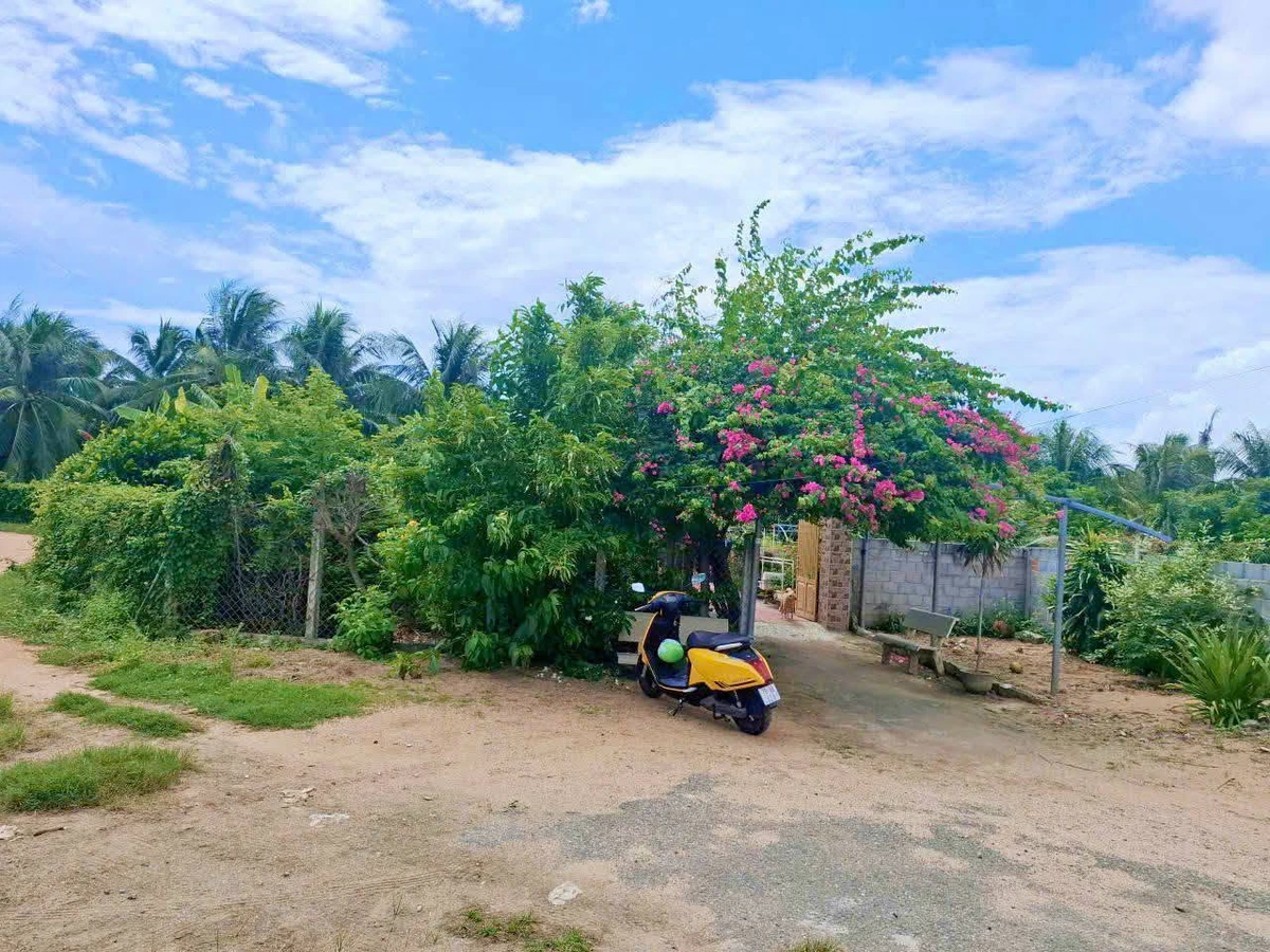 Bán nhà vườn Long Bình Phan Rang Khánh Hòa 4300m2 5 tỷ - Ảnh thu nhỏ 5