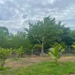 Bán 3.208m đất TMDV trung tâm Ninh Hòa vị trí đẹp, giá 6,5 triệu/m - Ảnh thu nhỏ 22