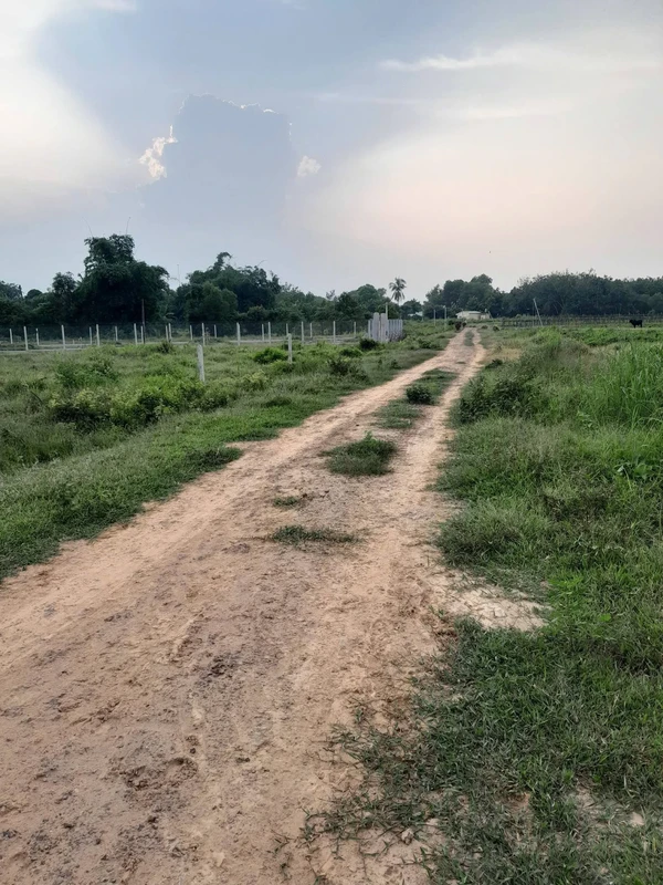 Bán 2 công đất gò 2000m² giá 380 triệu tại An Cơ, Châu Thành, Tây Ninh