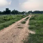 Bán 2 công đất gò 2000m² giá 380 triệu tại An Cơ, Châu Thành, Tây Ninh - Ảnh thu nhỏ 1