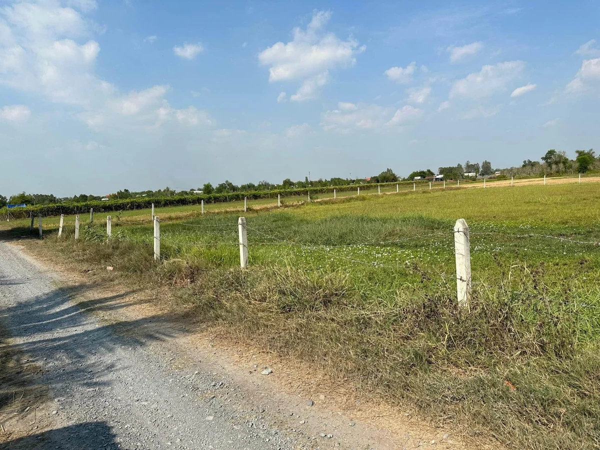 Bán đất Ấp Mỹ Thạnh Đông, Tây Ninh 2.446 m² giá 3.5 tỷ - Ảnh thu nhỏ 5