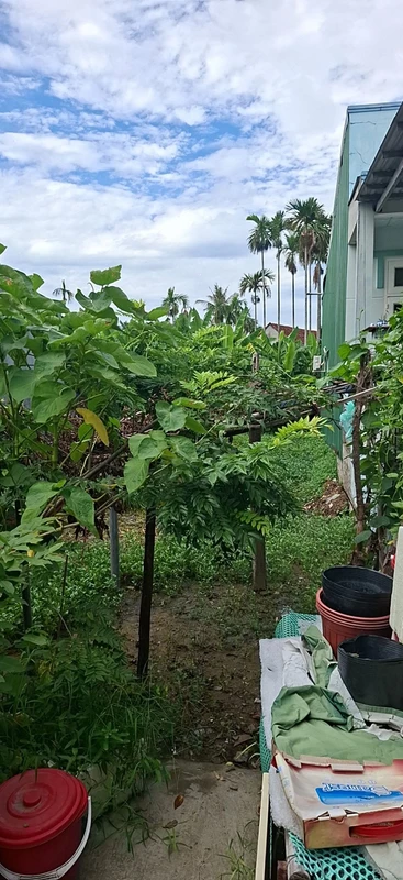 Bán nhà hẻm 2 phòng ngủ 80m2 Vũng Tàu 7ty200
