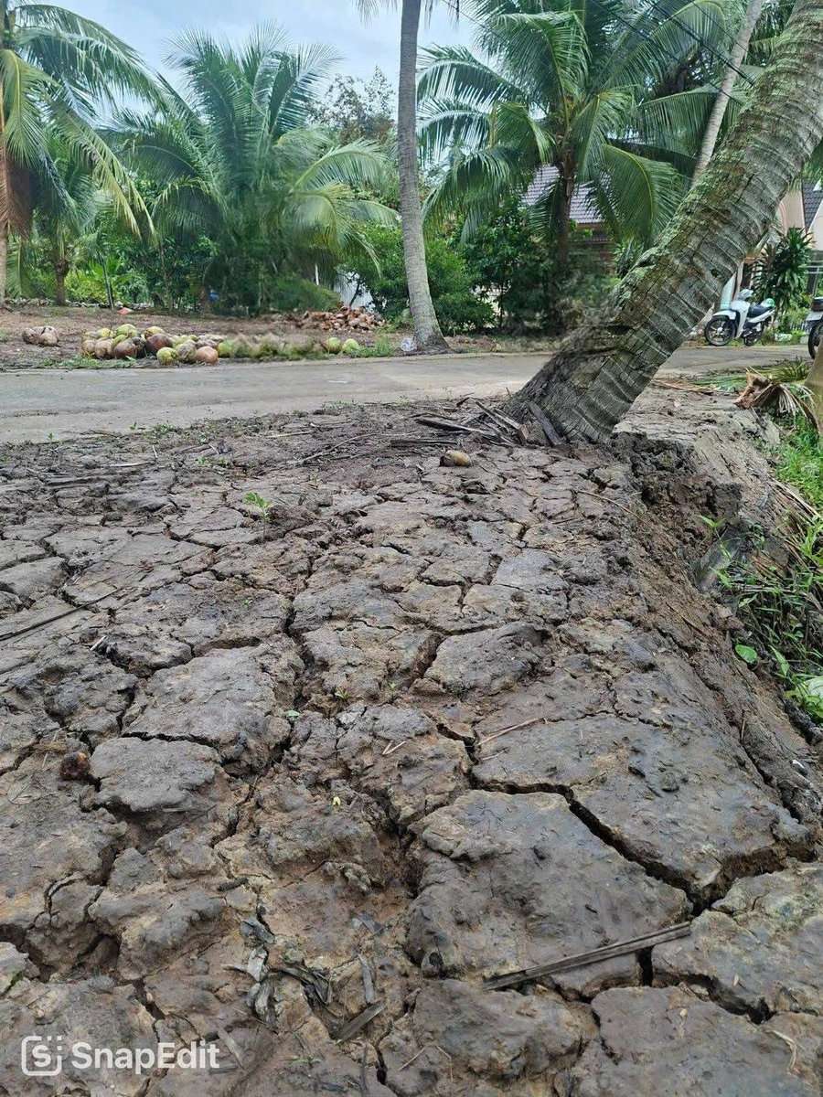 Bán đất gần 2,4c tại Châu Bình, Giồng Trôm, Bến Tre - Ảnh thu nhỏ 2