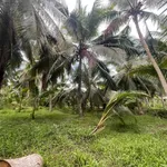 Bán đất Tân Thanh Tây 1500m², 300m thổ cư 690 tỷ - Ảnh thu nhỏ 2