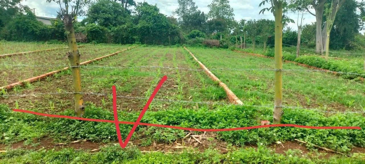 Bán đất Ea Bhốk 140m² giá 245 triệu - Ảnh 1