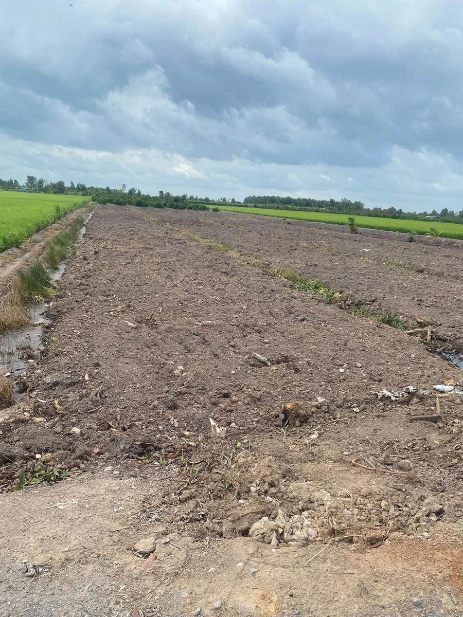 Bán đất 1.000m² view kênh tại Bình Đức, Bến Lức, Long An - Ảnh thu nhỏ 4