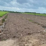 Bán đất 1.000m² view kênh tại Bình Đức, Bến Lức, Long An - Ảnh thu nhỏ 4