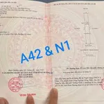 Bán lô đất 208m2 Vsip2 Bắc Tân Uyên 2 tỷ - Ảnh thu nhỏ 1
