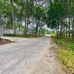 Bán đất mặt tiền 5x45m gần KCN Minh Hưng 3, Bình Dương - Ảnh thu nhỏ 1