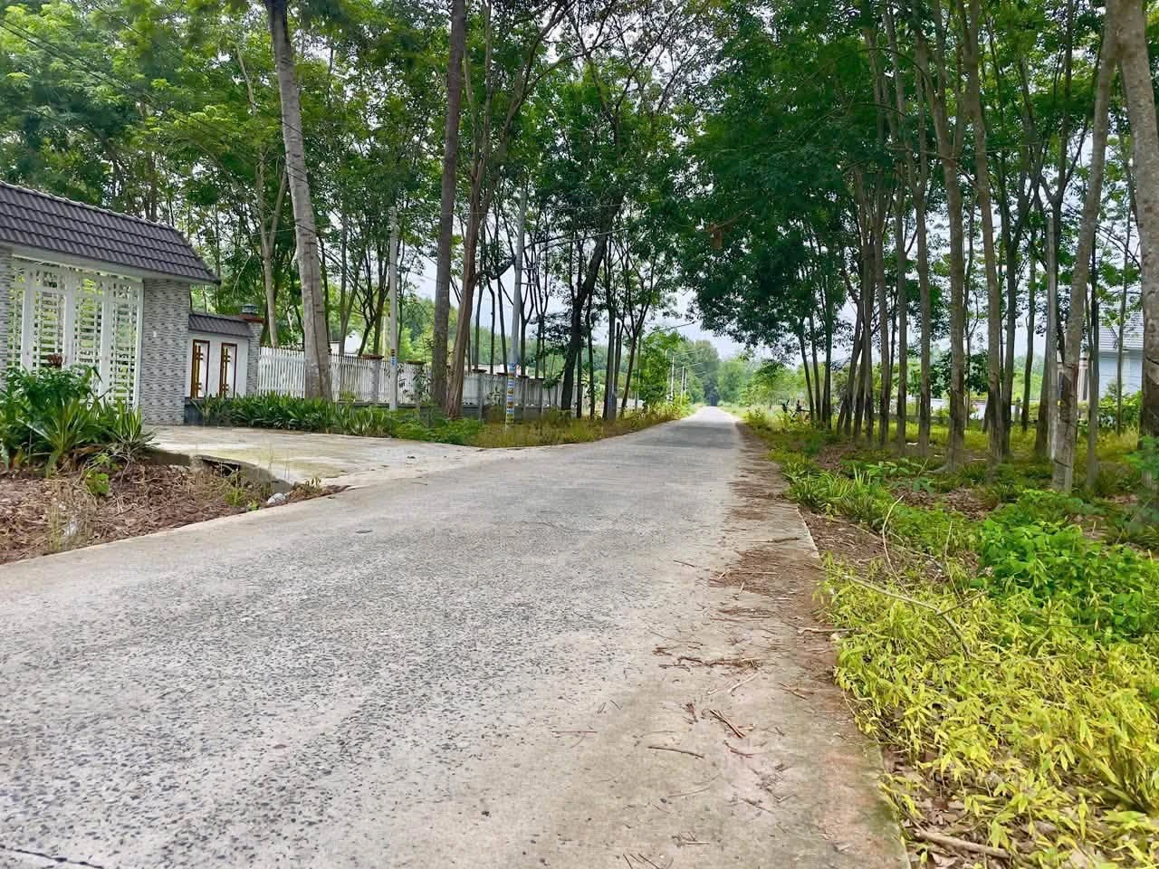 Bán đất mặt tiền 5x45m gần KCN Minh Hưng 3, Bình Dương - Ảnh 1