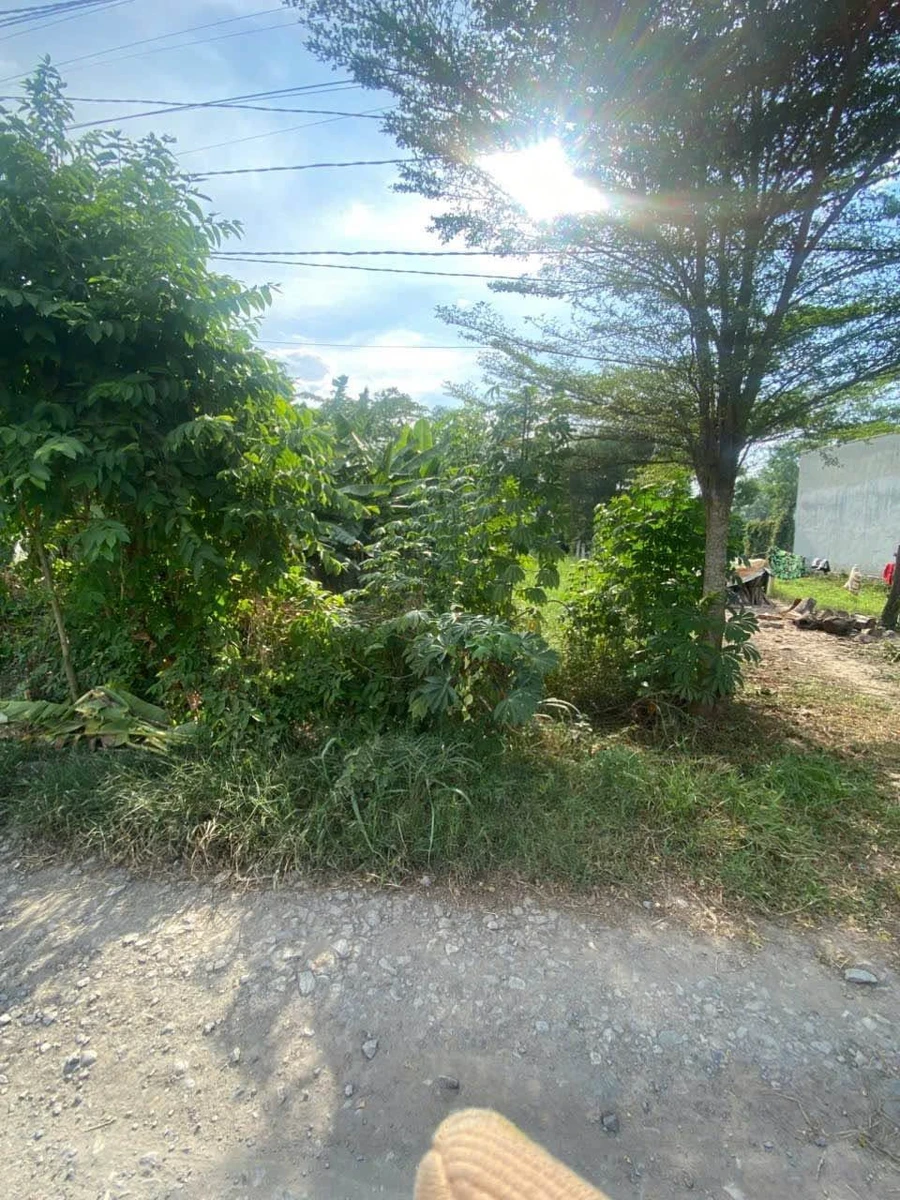 Bán đất 5x27 (135m²) giá 1 tỷ 250 triệu Nhà Bè - Ảnh thu nhỏ 2
