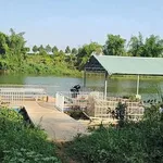 Bán đất vườn sầu riêng 4.600m² view sông Bé, 450 triệu - Ảnh thu nhỏ 1