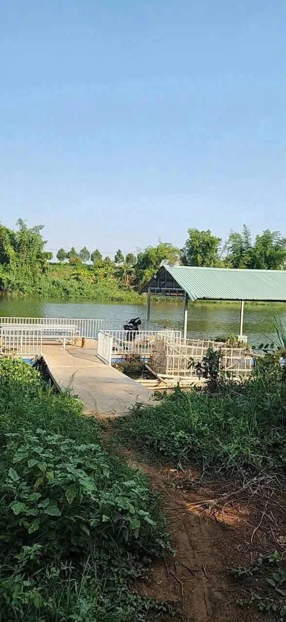 Bán đất vườn sầu riêng 4.600m² view sông Bé, 450 triệu - Ảnh 1