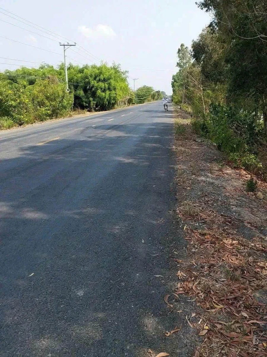 Bán đất 21.000m² mặt tiền Tiền Giang 24 tỷ - Ảnh 1