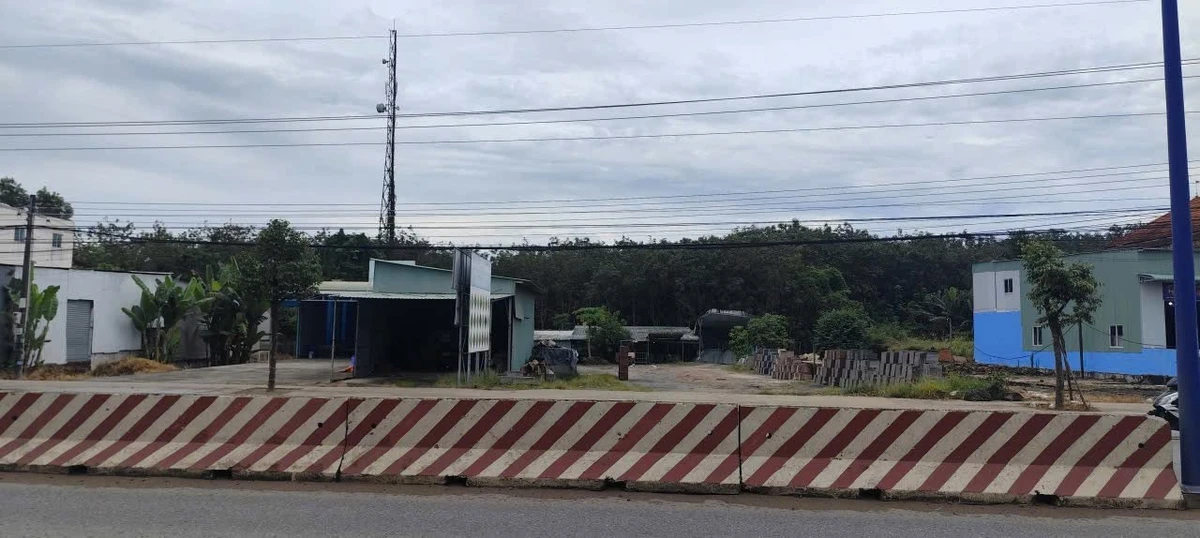 Bán đất 24m MT Quốc lộ 13 Bàu Bàng 1608m2 - 12 tỷ - Ảnh thu nhỏ 4