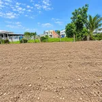Bán đất thổ cư 4,3x27m nở hậu, lô nhì đường Cộng Đồng Lộc Trung, Mỹ Lộc, Cần Giuộc - Ảnh thu nhỏ 4