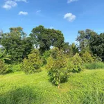 Bán đất view hồ Ea Cuor Kap 400m² giá 5 tỷ - Ảnh thu nhỏ 3