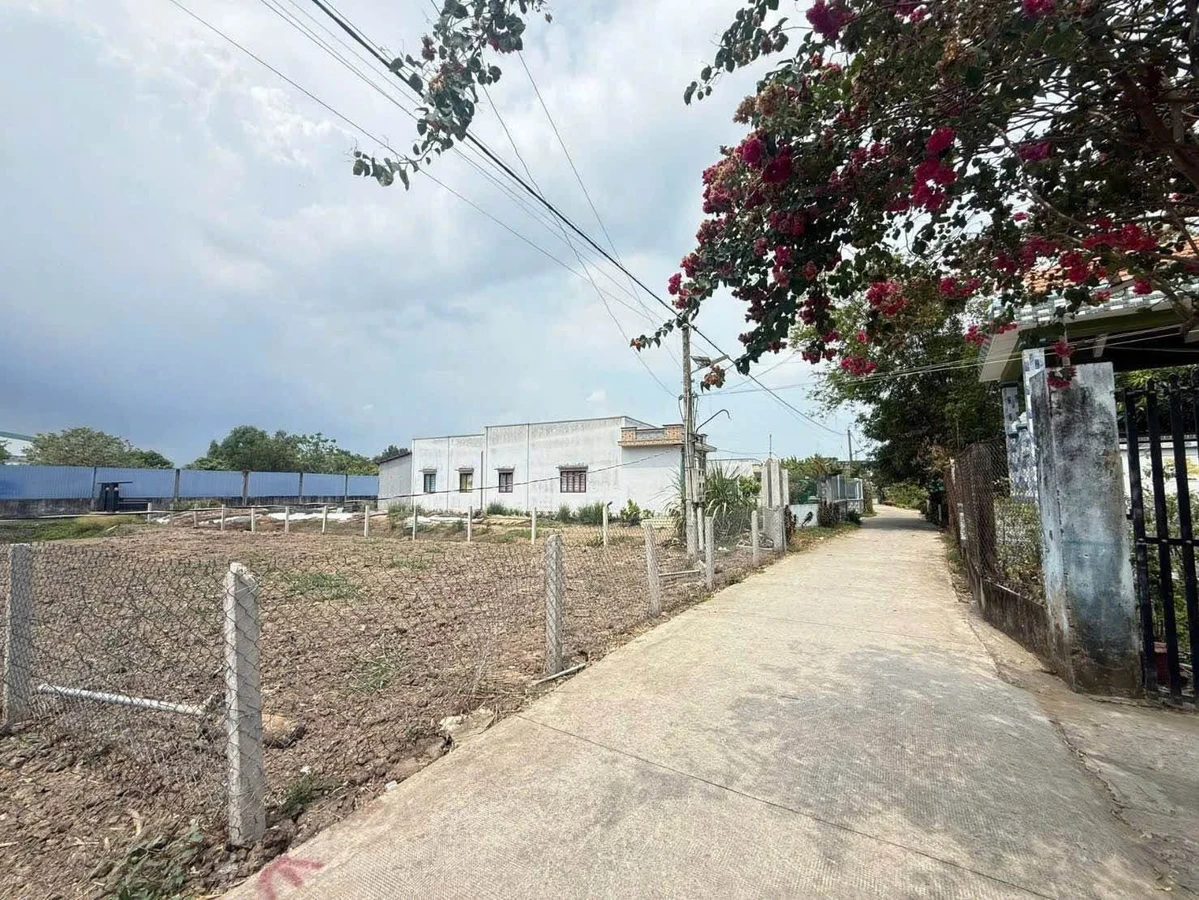 Bán đất thổ lúa 500m2 (150m2 thổ cư) gần Trường Nguyễn Đình Chiểu, Mỹ Lộc - Ảnh thu nhỏ 2