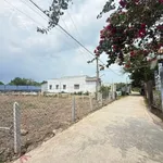 Bán đất thổ lúa 500m2 (150m2 thổ cư) gần Trường Nguyễn Đình Chiểu, Mỹ Lộc - Ảnh thu nhỏ 2