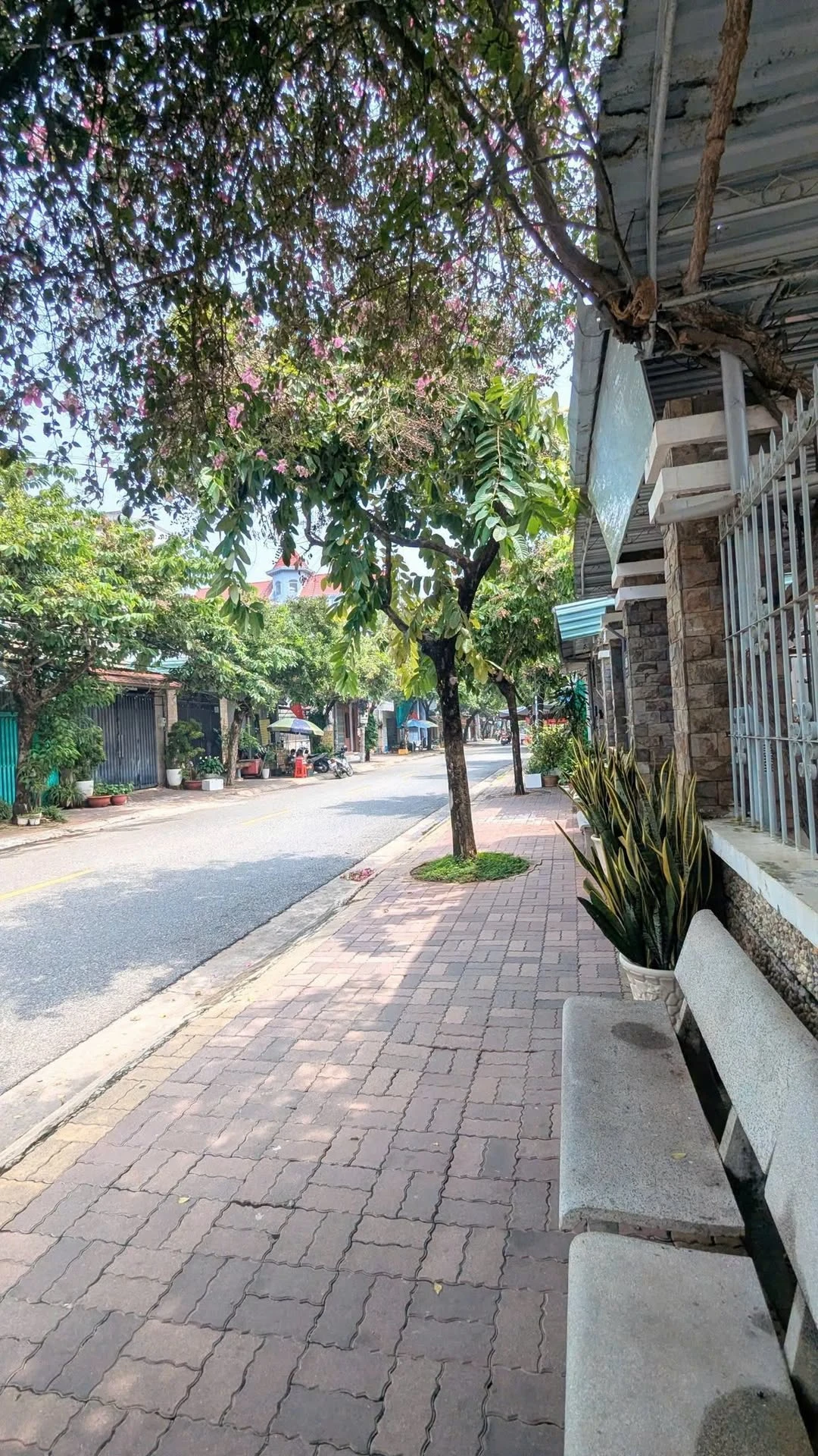 Nhà bán 5x22m Rạch Dừa Vũng Tàu 4 tỷ 990 - Ảnh 1