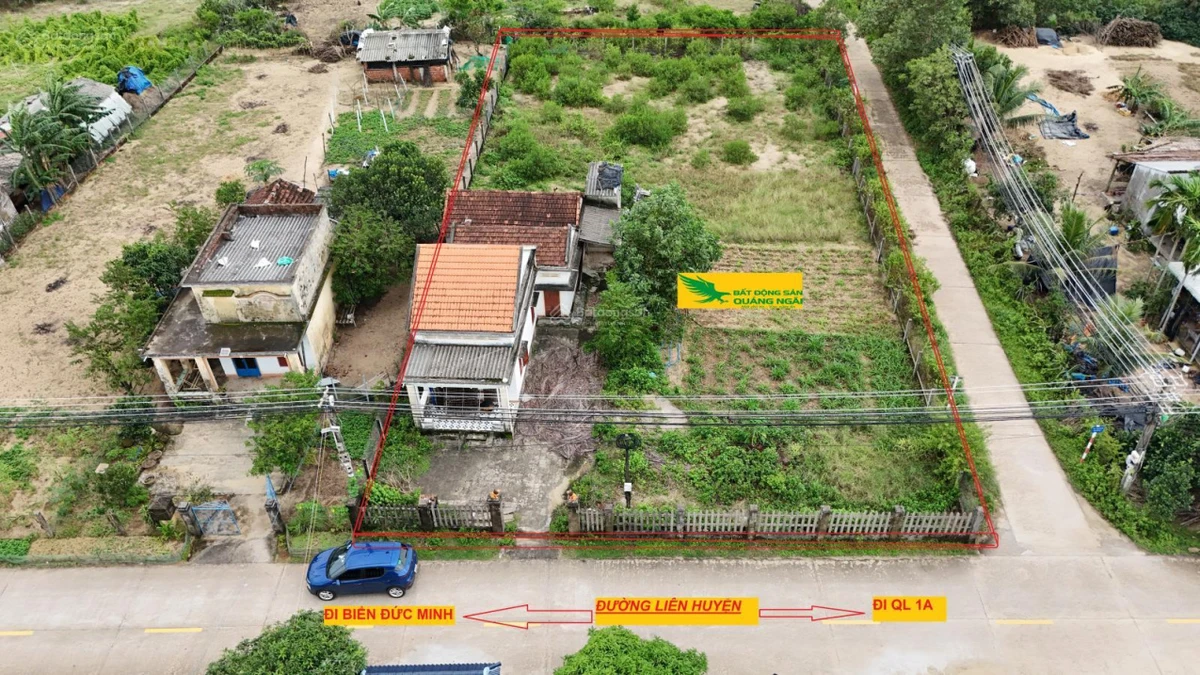 Bán đất biển Đức Minh Mộ Đức, vườn 1000m2 200m2 TC, cách biển chưa đến 1km, 3 tỷ thương lượng - Ảnh thu nhỏ 3