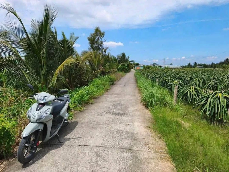 Bán đất 1.240m² (200m² thổ cư) Hiệp Thạnh, Châu Thành, Long An