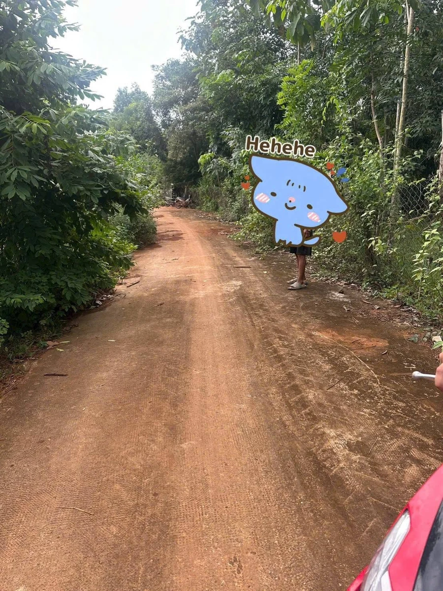 Bán đất cao su 5 sào ở Lộc Điền, Bình Phước - Ảnh 1