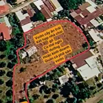 Bán đất 3000m² xã Cẩm Mỹ Đồng Nai 5 tỷ - Ảnh thu nhỏ 5